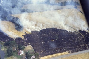 Field burning - environmental monitoring