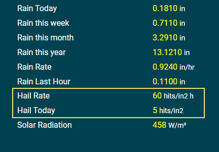 This MicroServer screenshot shows hail data from the Orion Weather Station at the office.